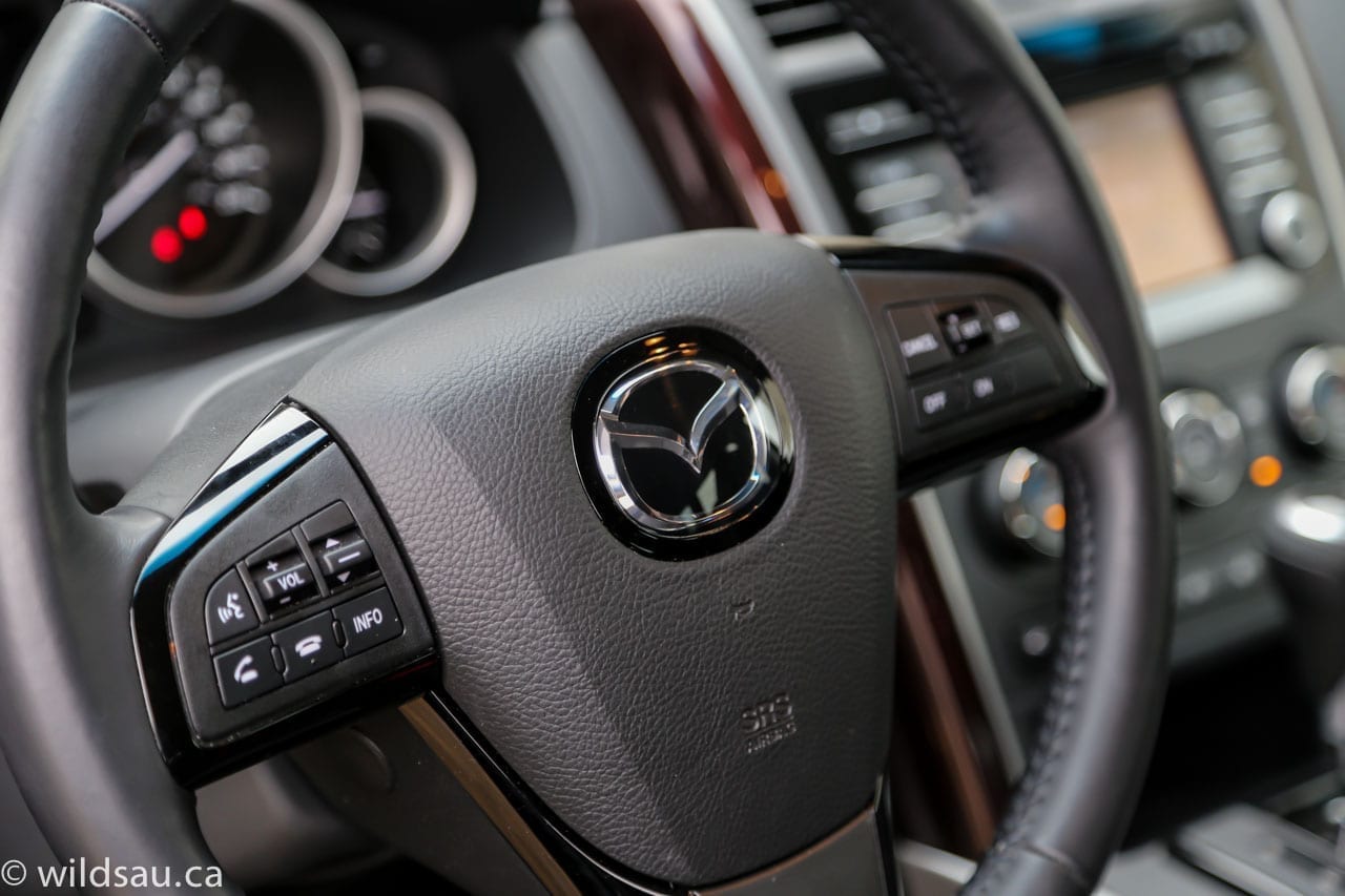 steering wheel detail