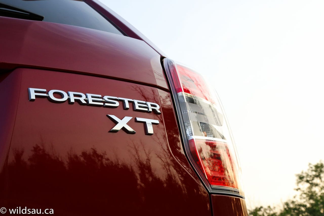 Forester badge