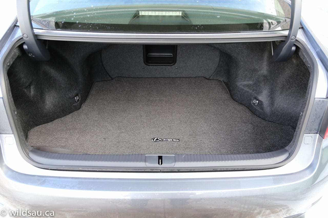 trunk