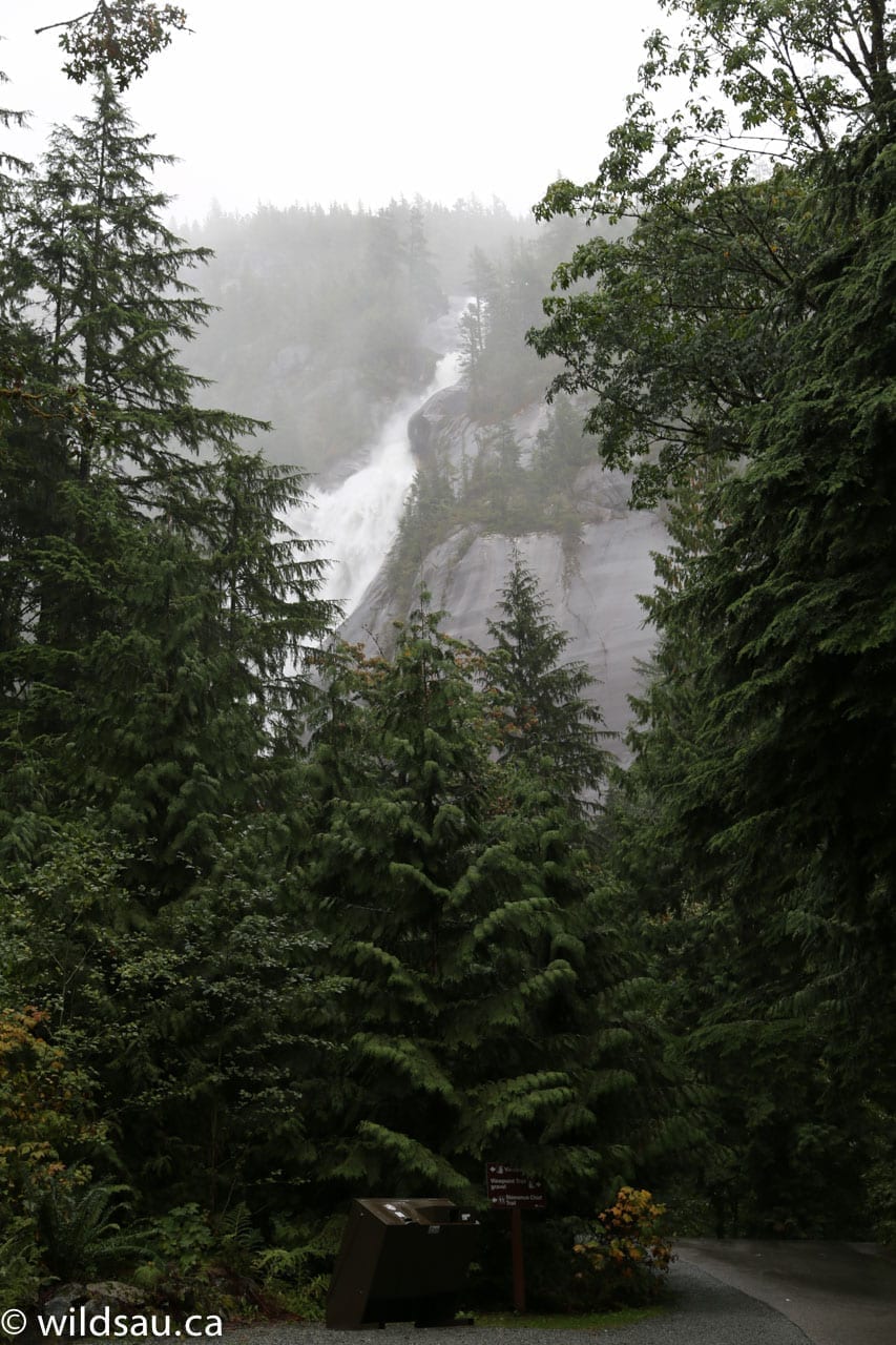 Shannon Falls from a distance