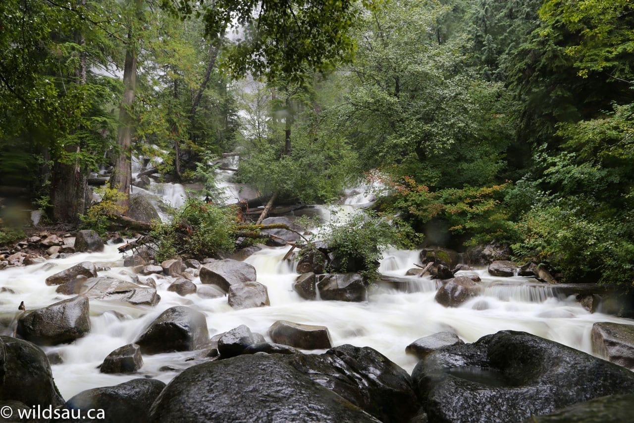 Shannon Falls running water