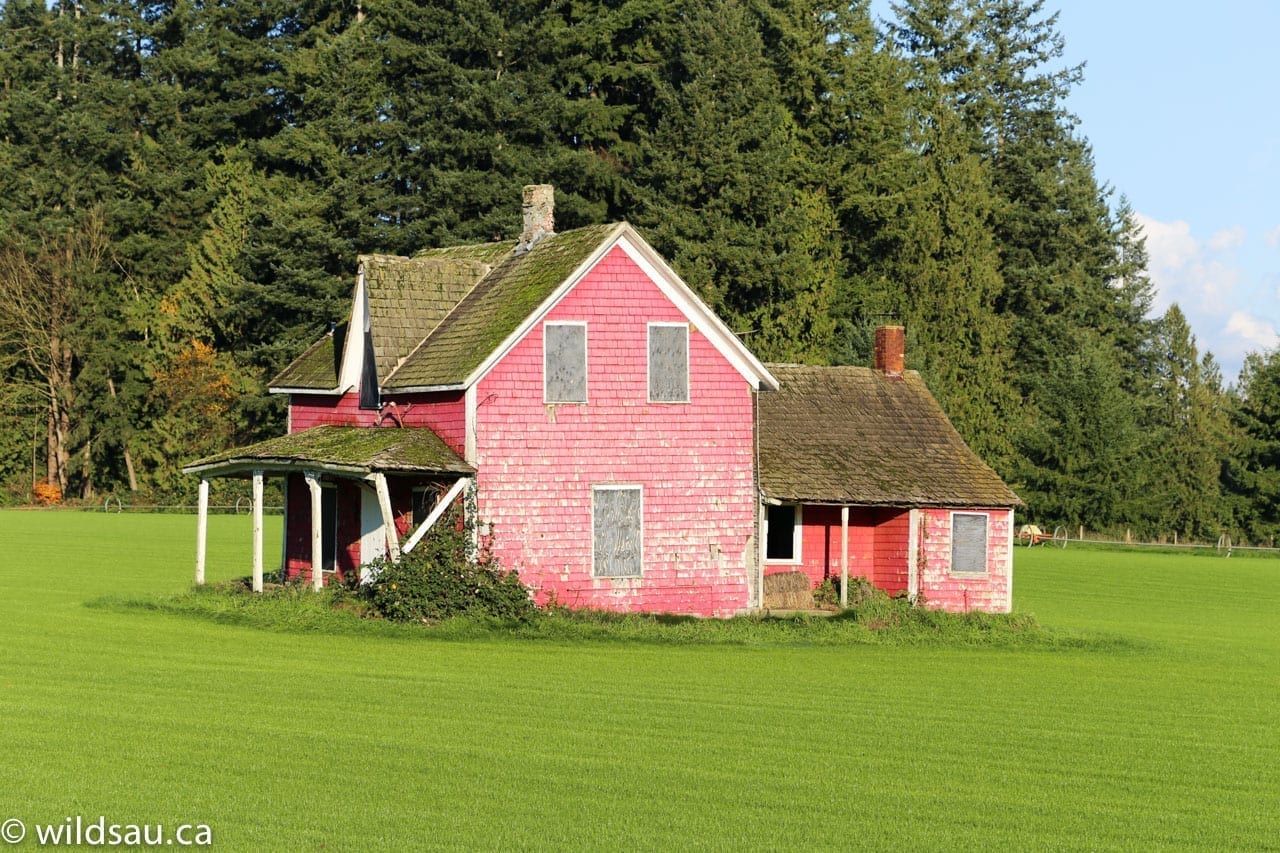 red house green field