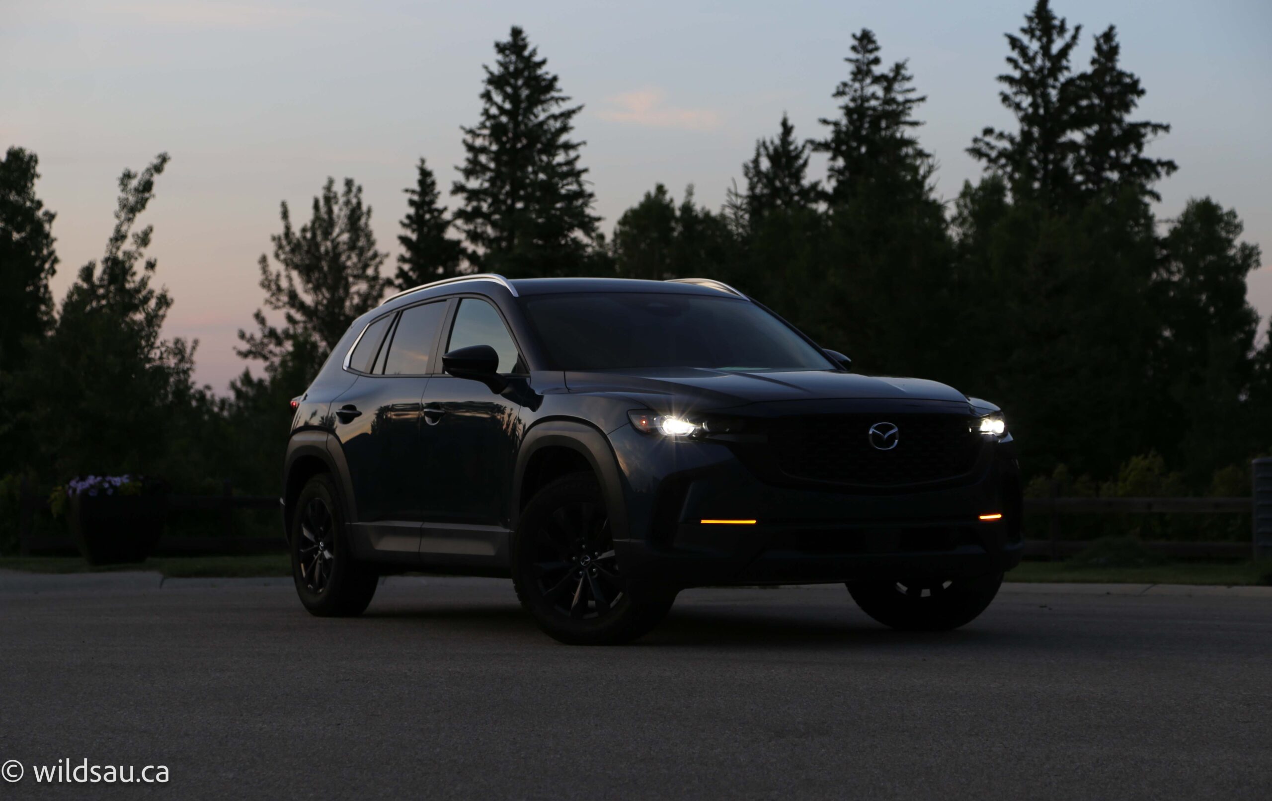 Front quarter turned wide dark