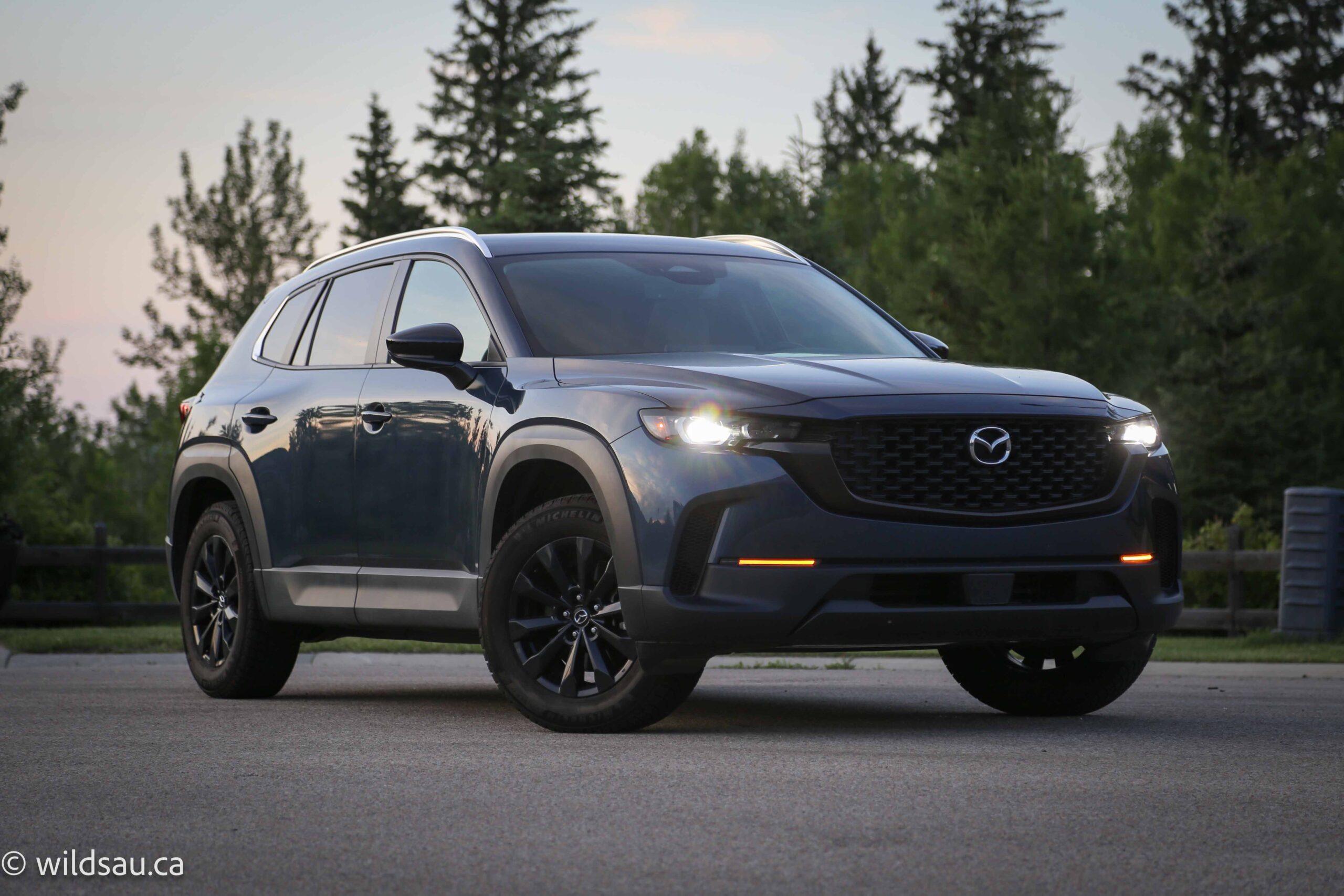 Front quarter turned wide