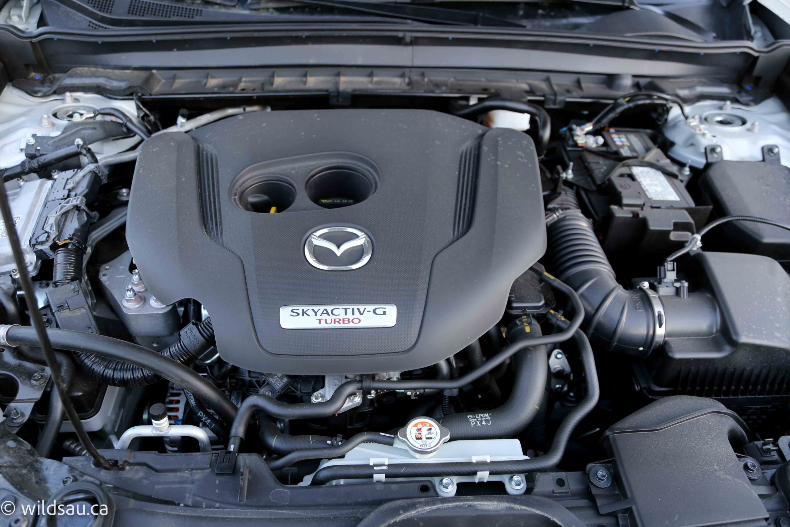 Engine bay