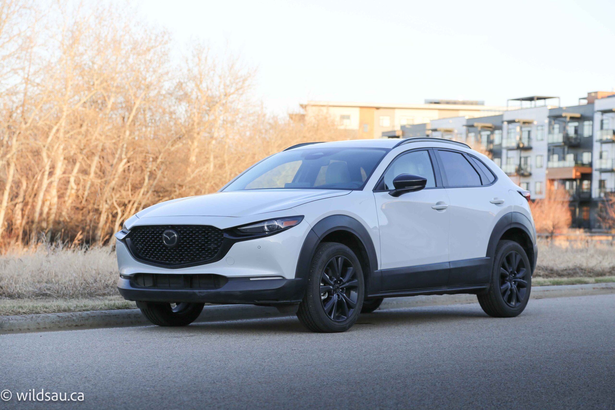 Front quarter