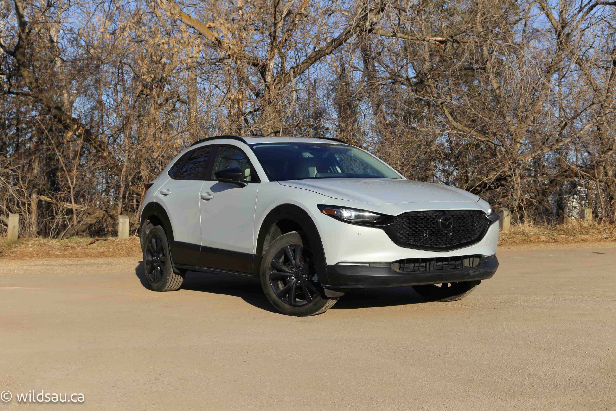 Front quarter turned