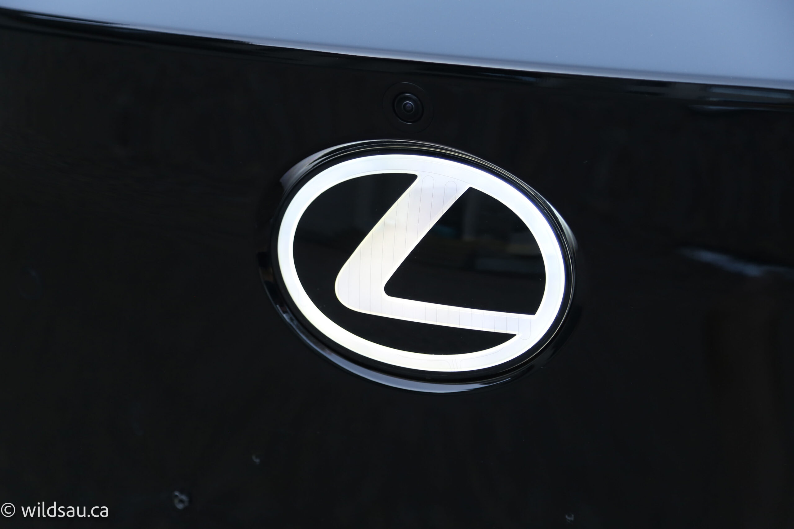 Lit up grille logo