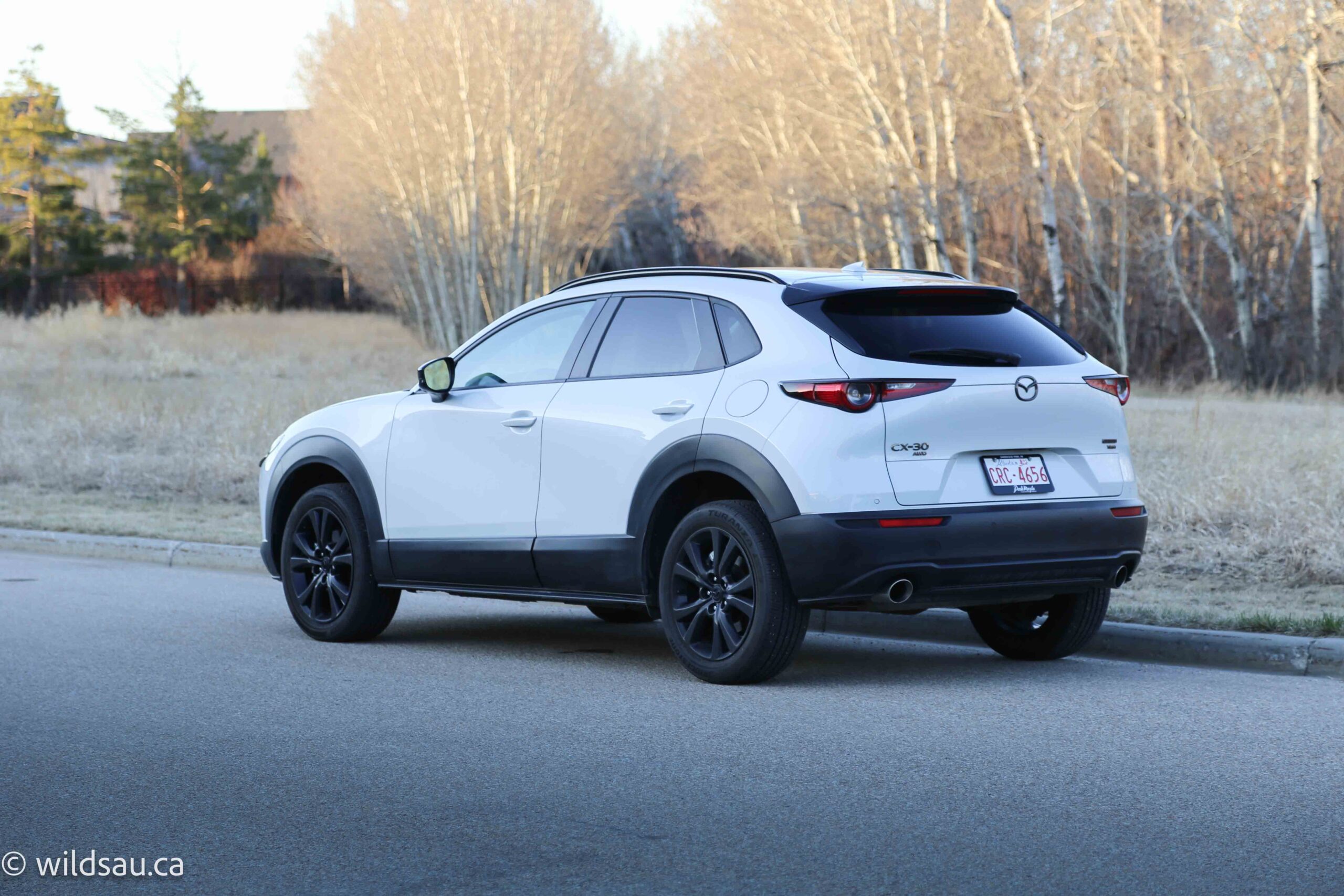 Rear quarter