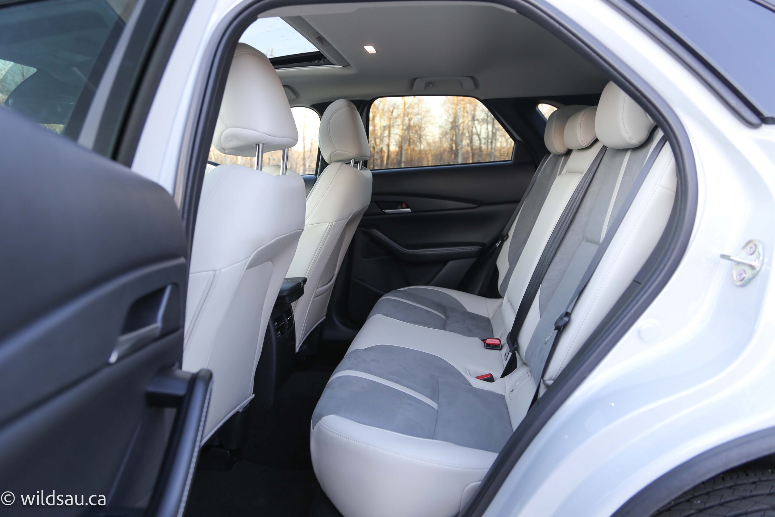 Rear seats