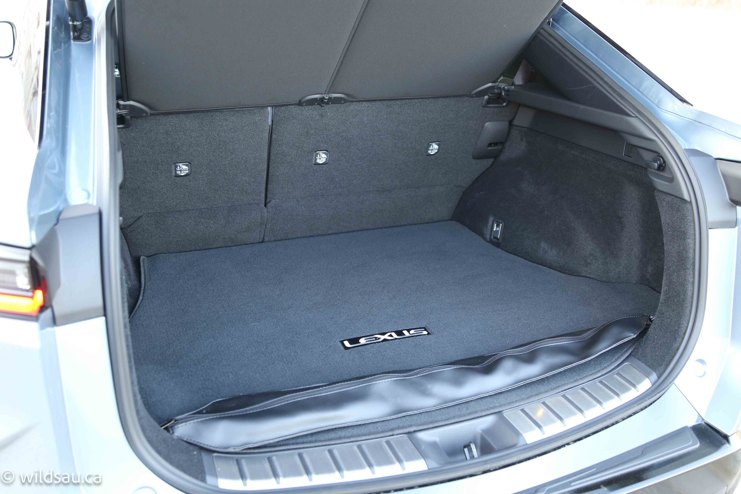 Trunk
