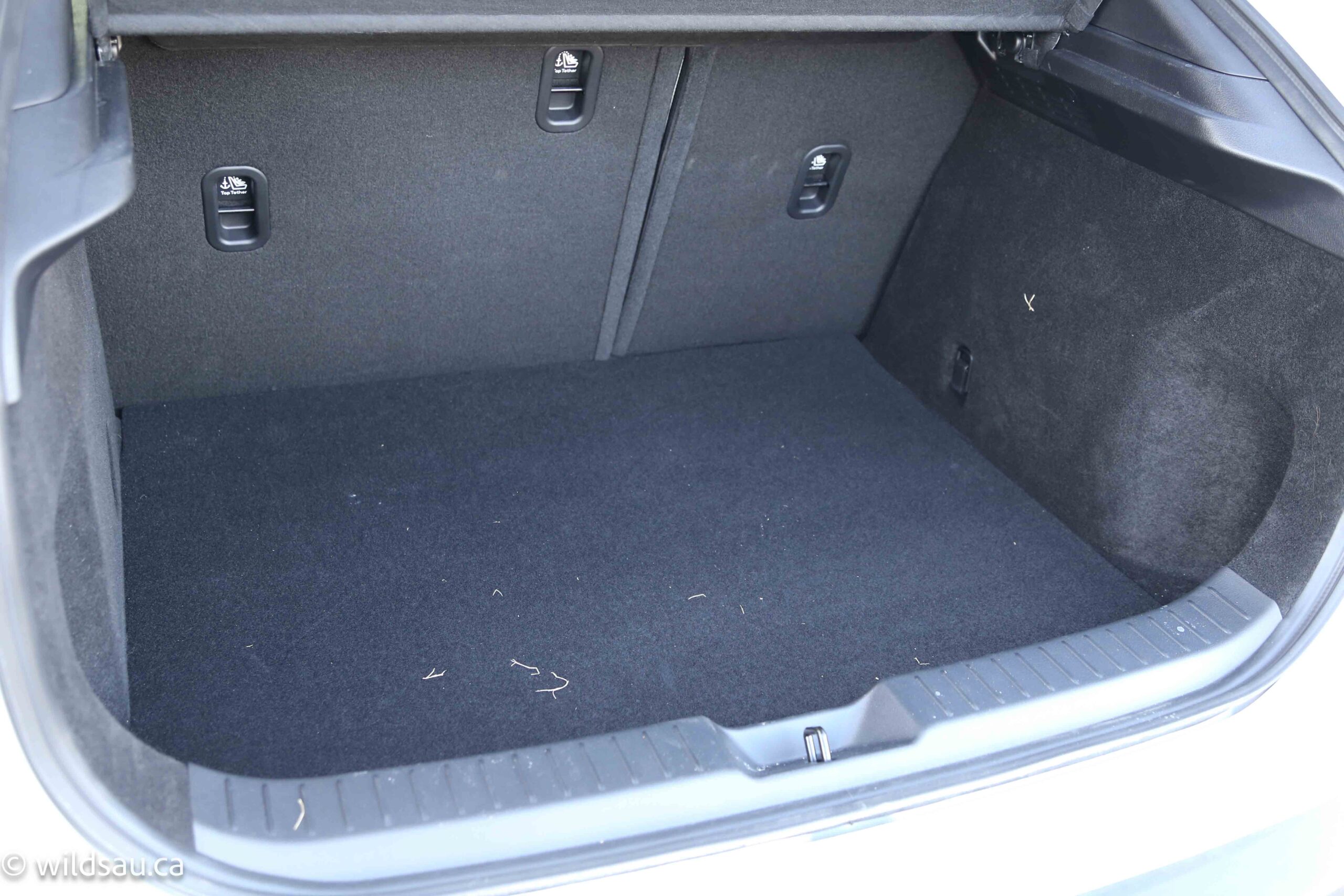 Trunk
