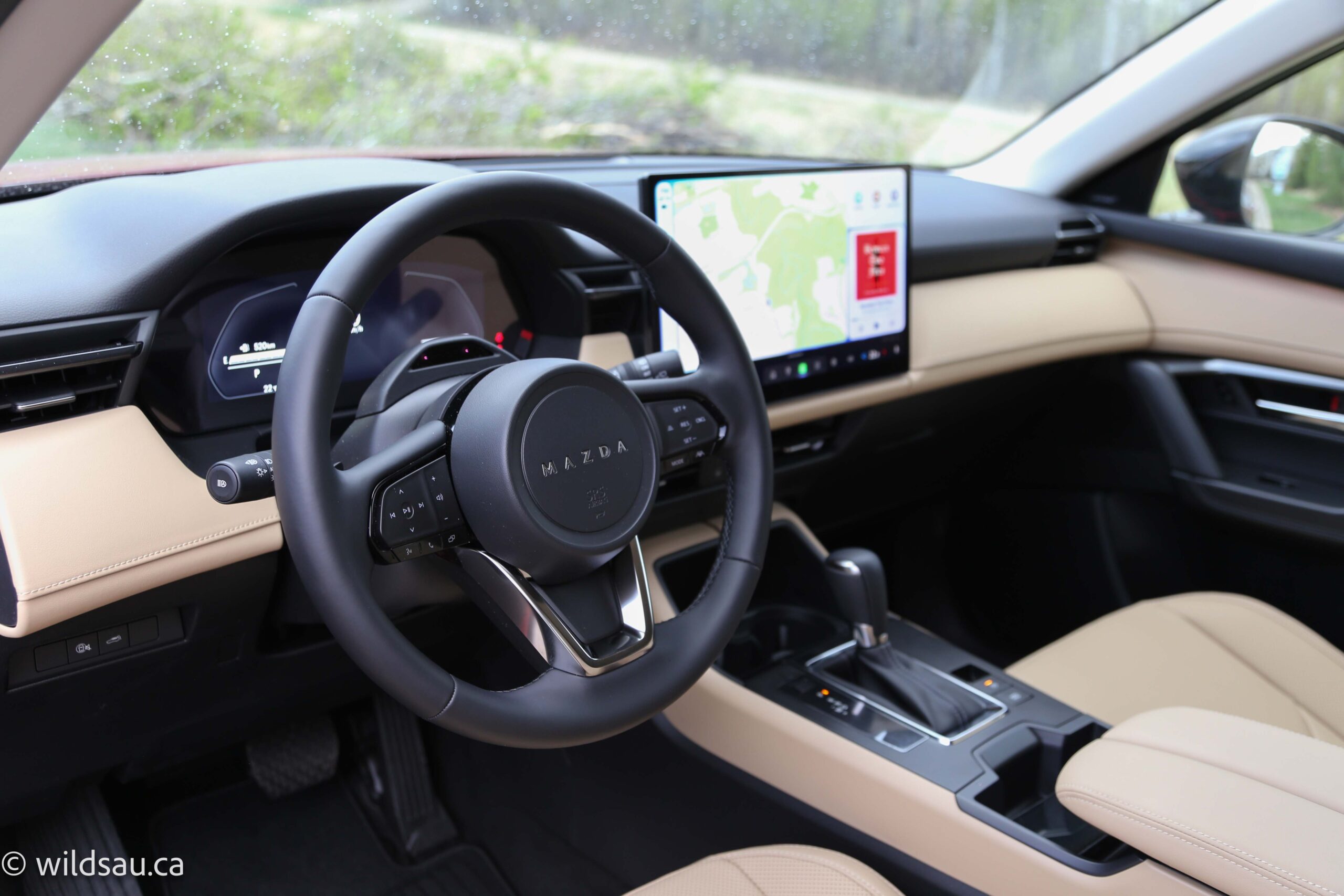 Dash from driver door