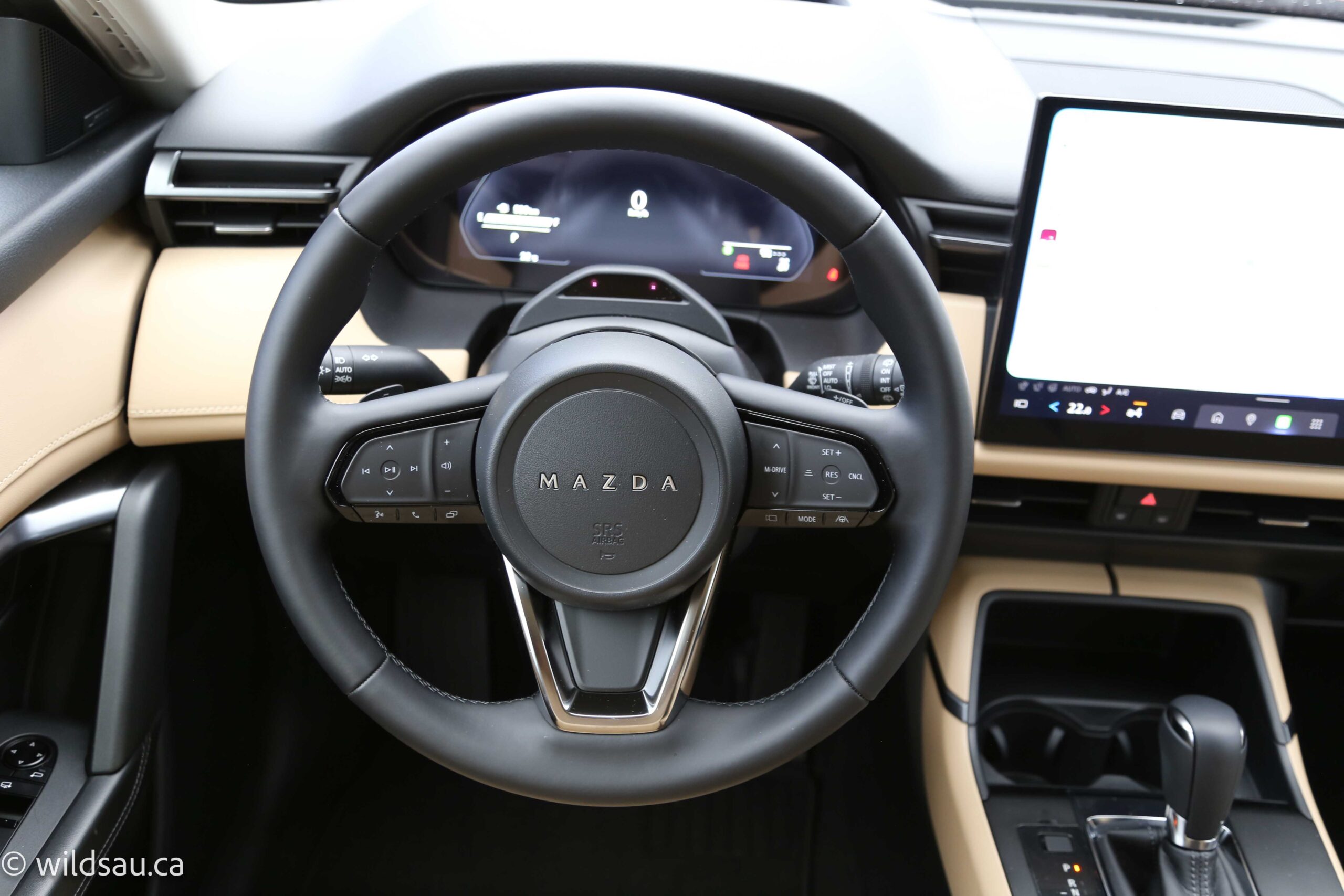 Drivers view