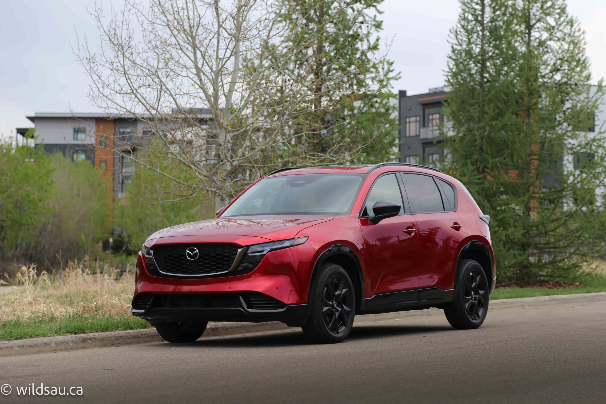 Front quarter