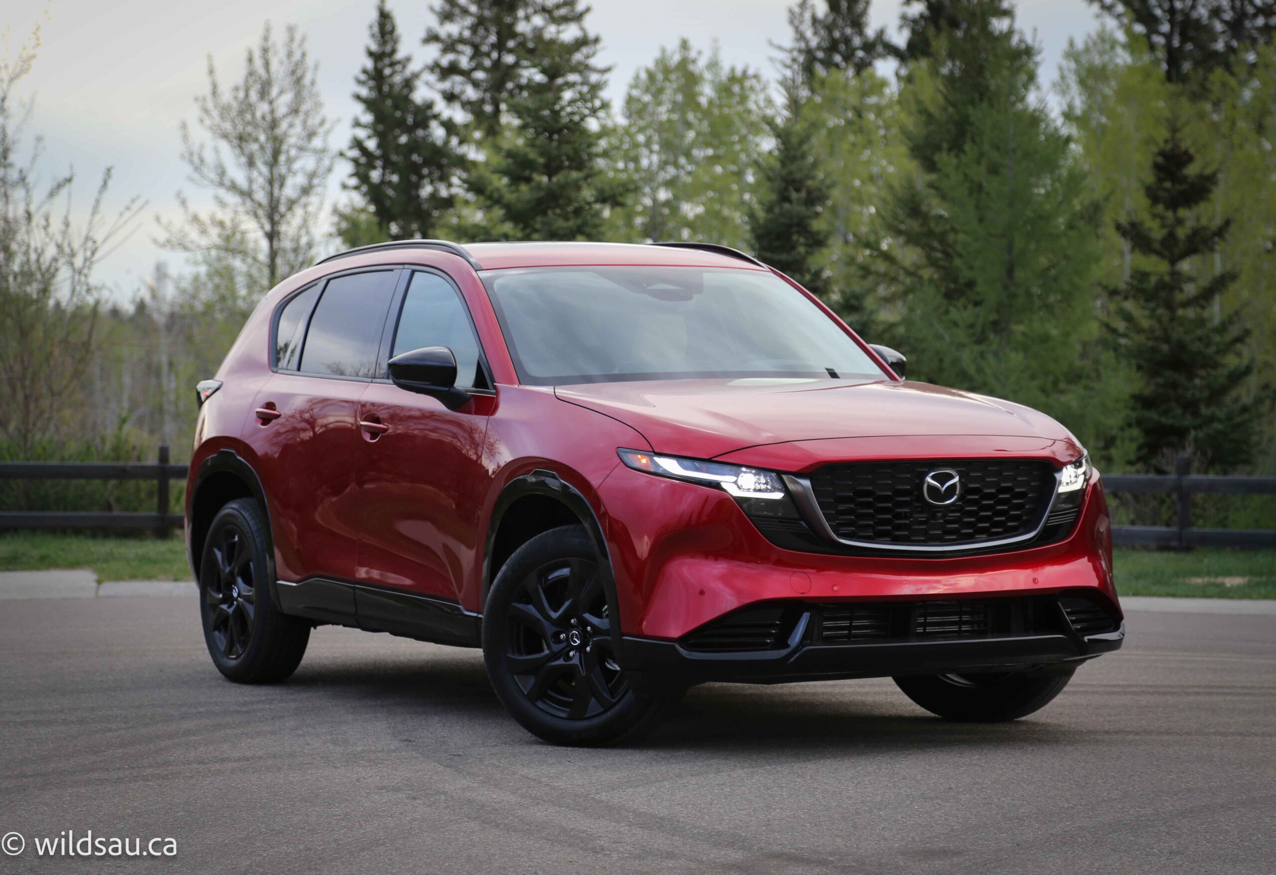 Front quarter turned