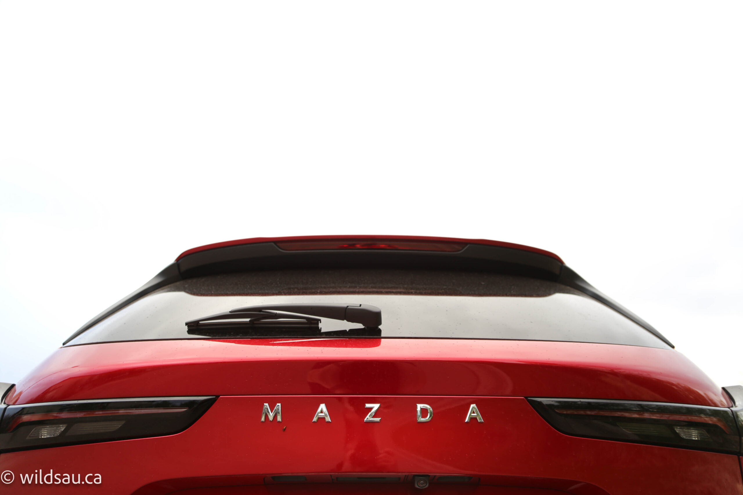 Rear badge skyward