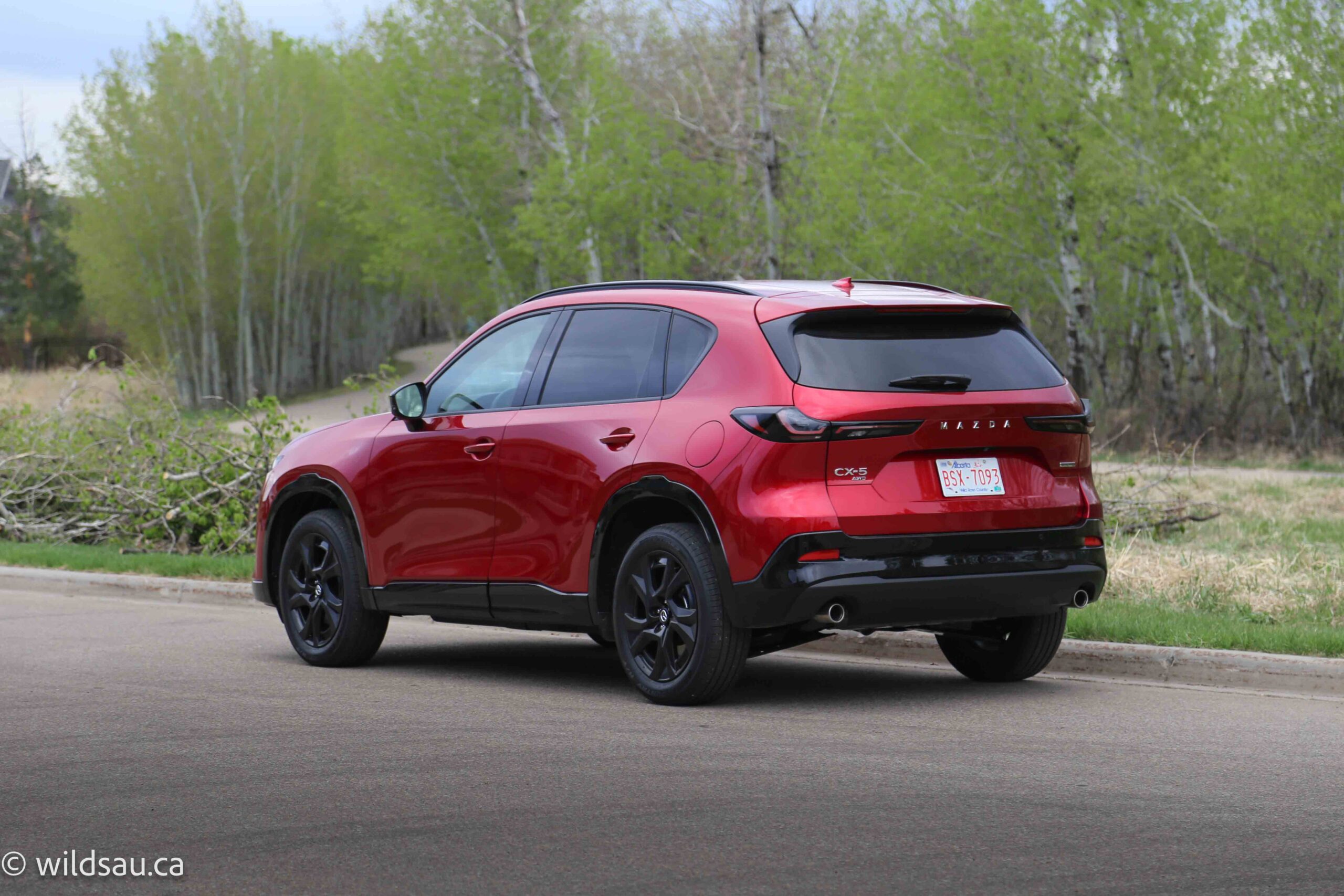 Rear quarter