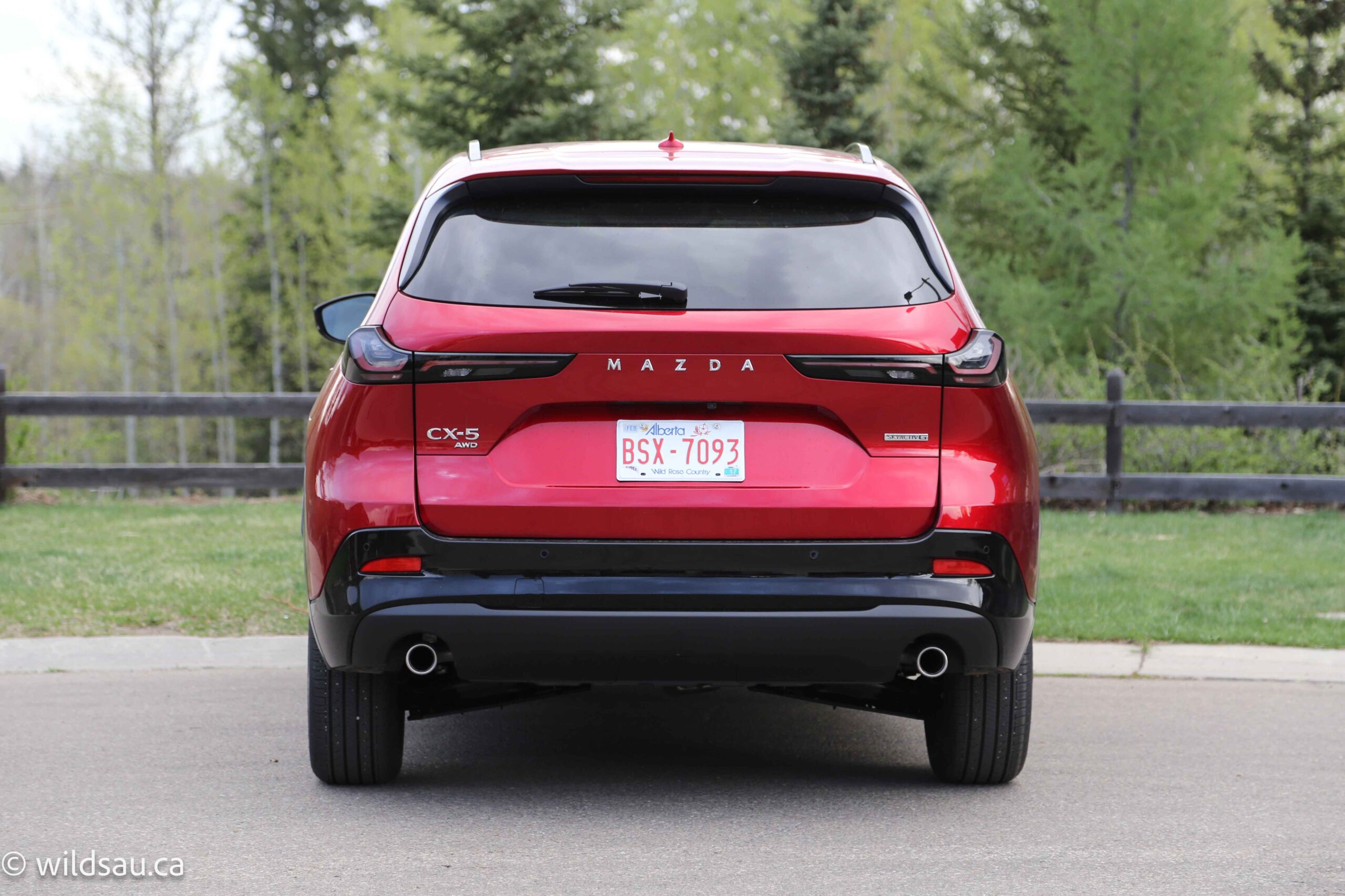 Rear
