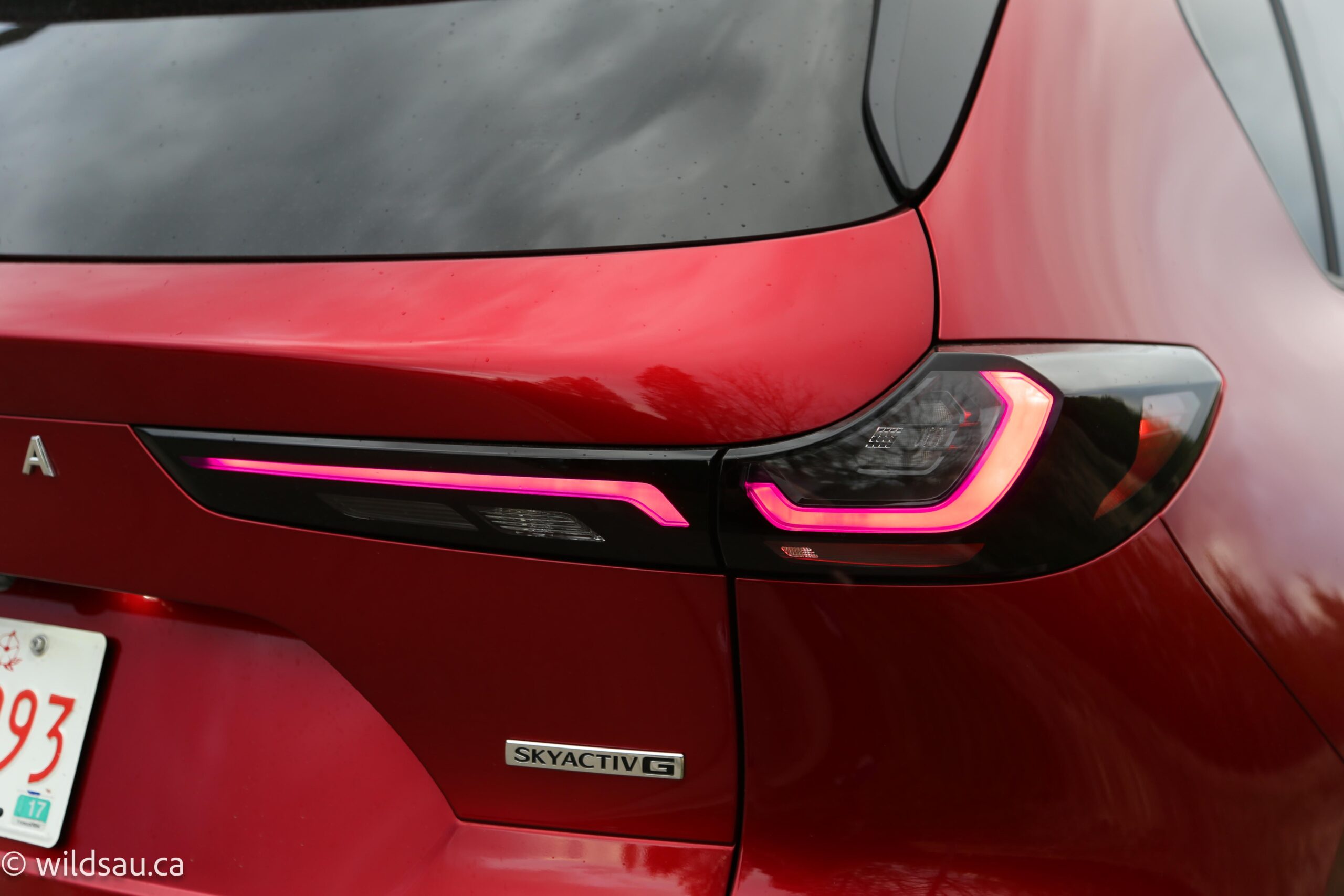 Tail light
