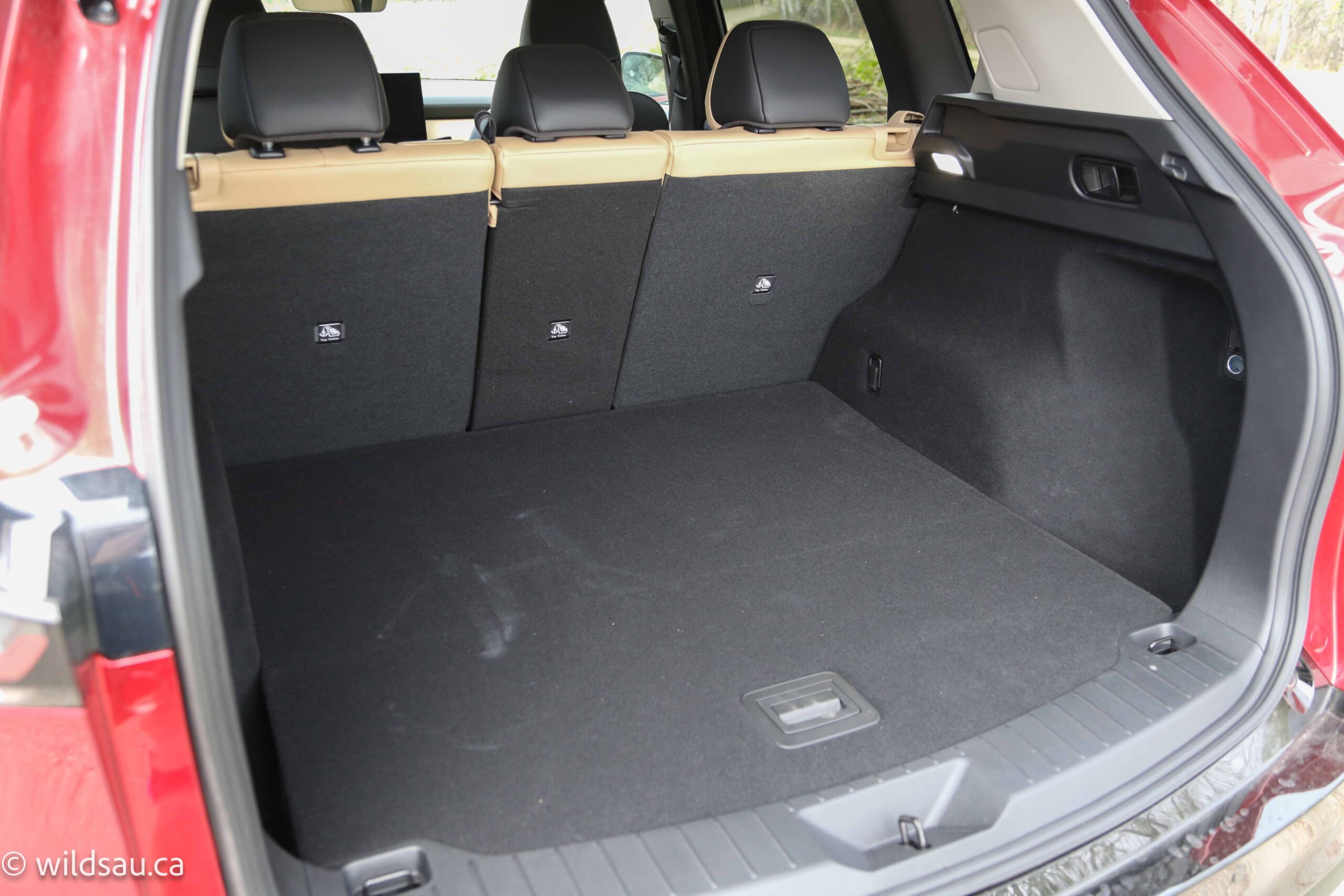 Trunk