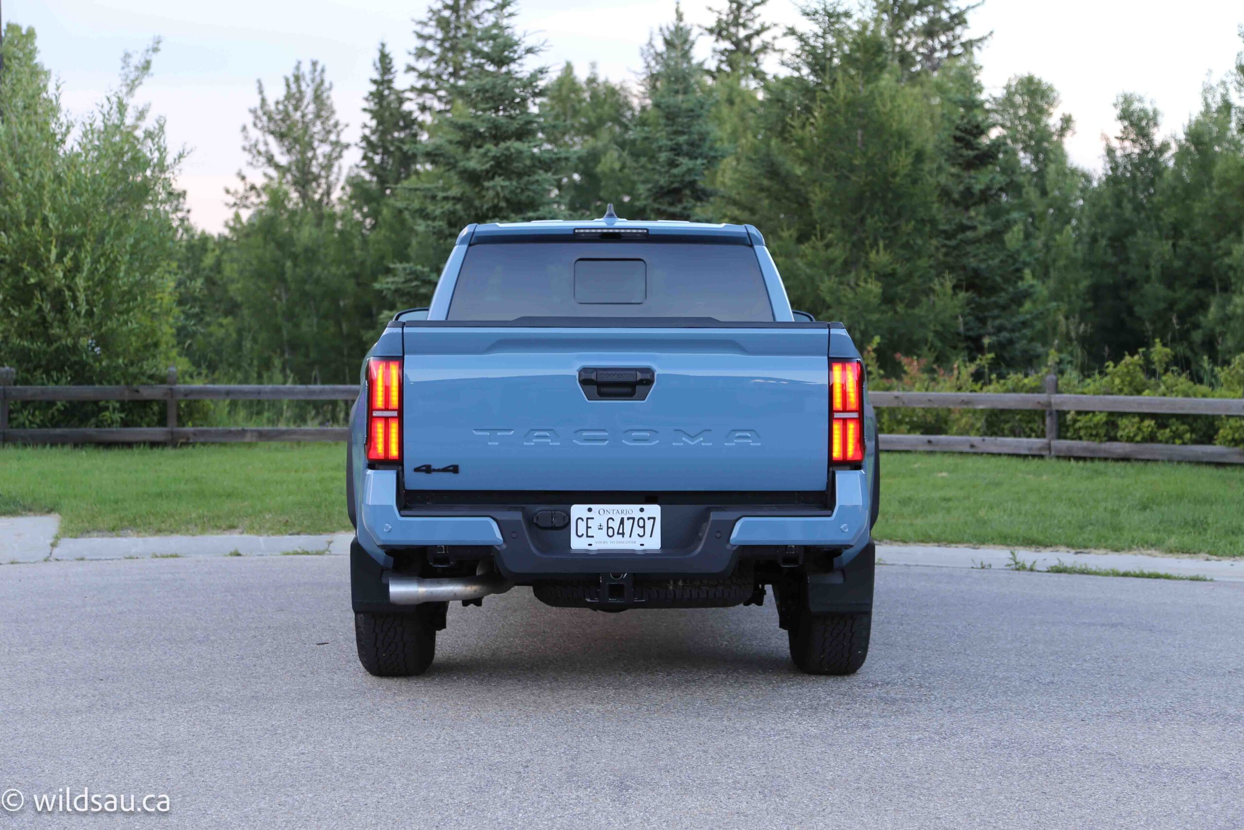 Rear